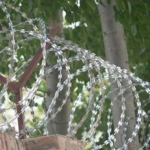 Hot dipped galvanized razor wire application 2 Hot dipped galvanized razor wire application 2
